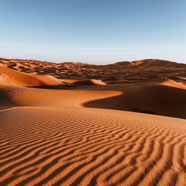 Sahara - Marocco